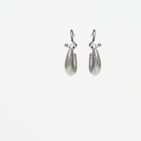 Shining Hook Kids Silver Earrings